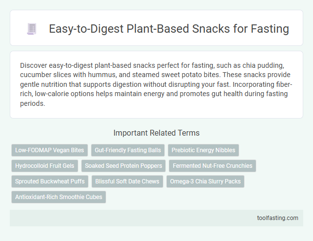 Easy-to-Digest Plant-Based Snacks for Fasting