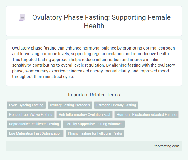 Ovulatory Phase Fasting: Supporting Female Health