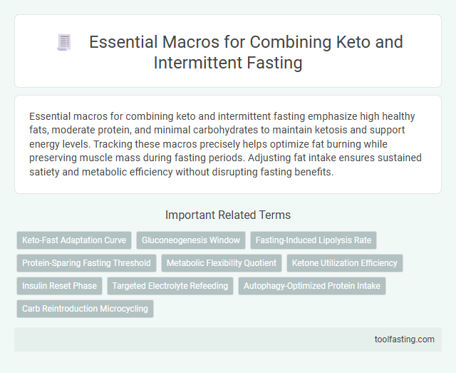 Essential Macros for Combining Keto and Intermittent Fasting