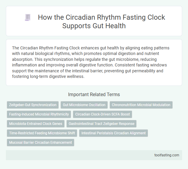 How the Circadian Rhythm Fasting Clock Supports Gut Health