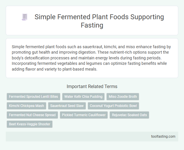 Simple Fermented Plant Foods Supporting Fasting