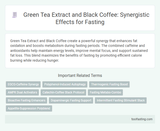 Green Tea Extract and Black Coffee: Synergistic Effects for Fasting