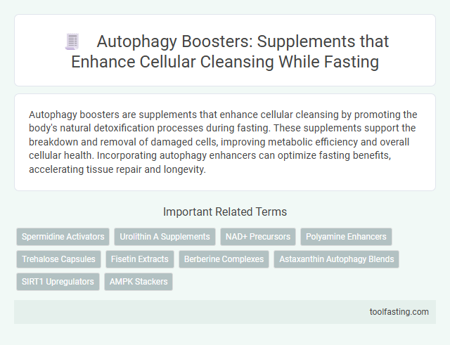 Autophagy Boosters: Supplements that Enhance Cellular Cleansing While Fasting